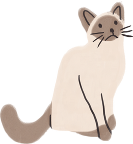 Handdrawn Ragdoll Cat